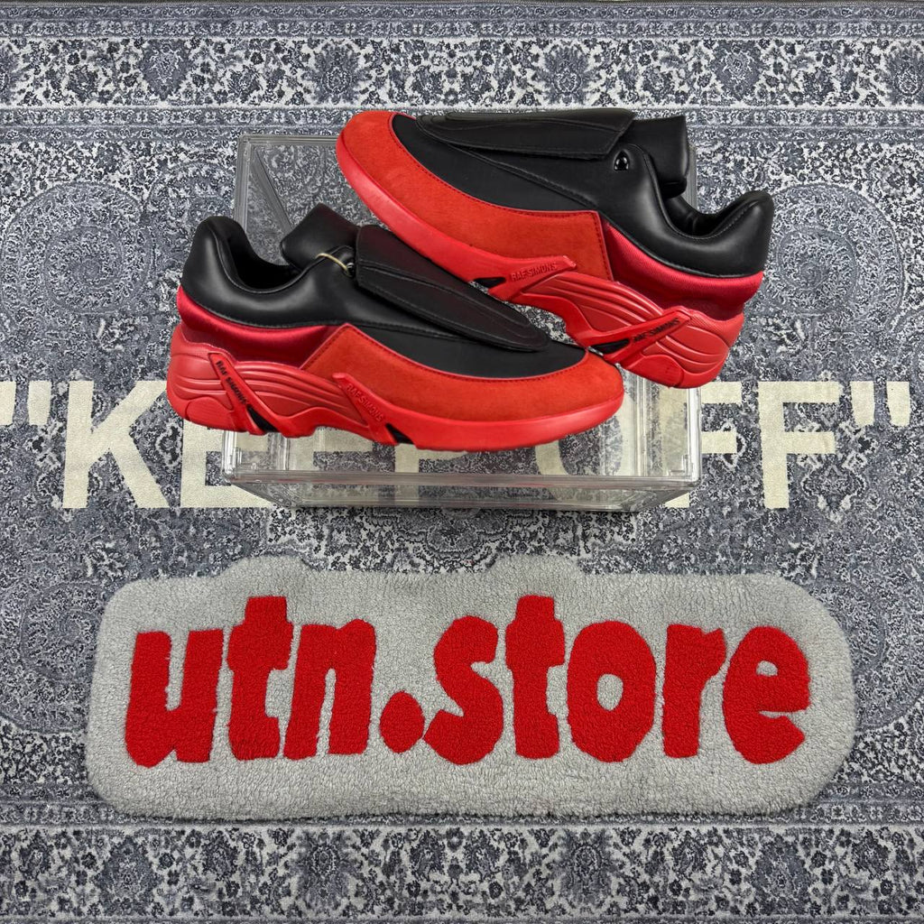 Raf simons antei