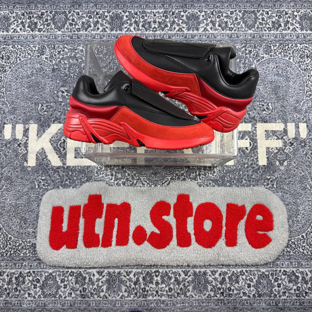Raf simons antei